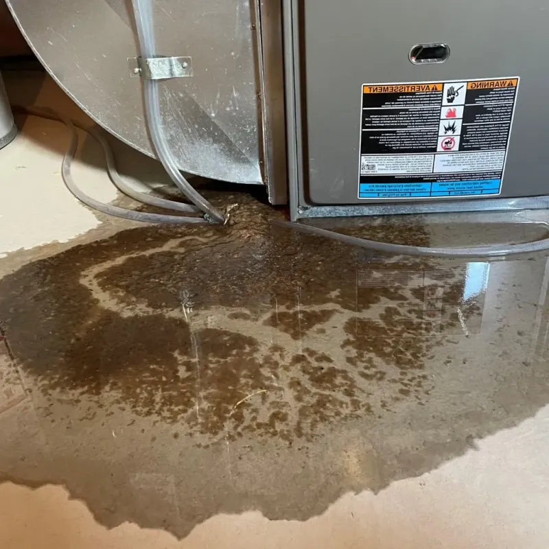 Pipe Burst and Leak Restoration in Country Lake Estates, NJ